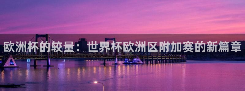 世界杯预选赛欧洲赛区积分榜：欧洲杯的较量：世界杯欧洲区附加赛的新篇章
