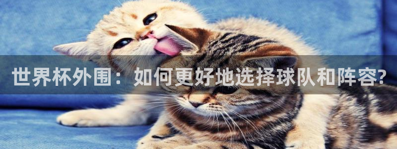 女足世界杯直播在线观看免费高清：世界杯外围：如何更好地选择球队和阵容?
