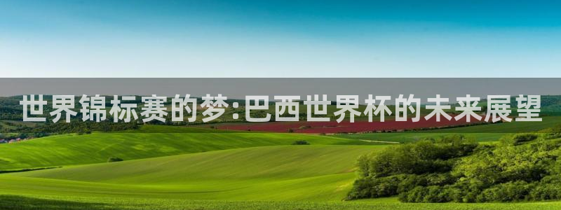 世界杯预赛赛程：世界锦标赛的梦:巴西世界杯的未来展望