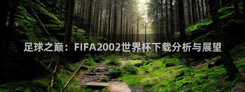 世界杯欧洲预选赛：足球之巅：FIFA2002世界杯下载分析与展望
