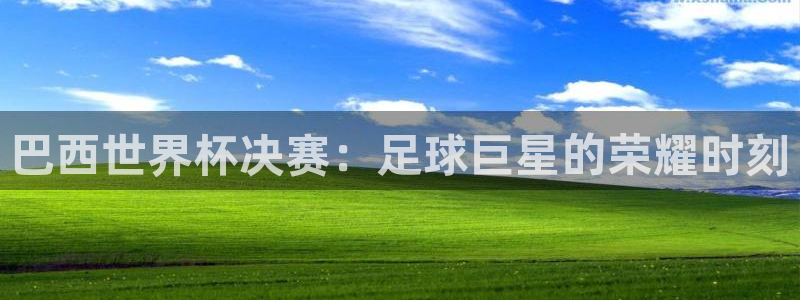 世界杯 直播：巴西世界杯决赛：足球巨星的荣耀时刻
