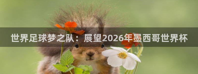 2026世界杯亚洲区预选赛赛程：世界足球梦之队：展望2026年墨西哥世界杯