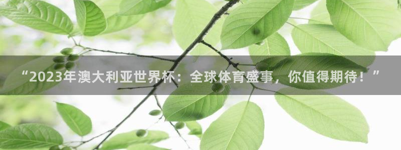 免费看足球直播比赛：“2023年澳大利亚世界杯：全球体育盛事，你值得期待！”