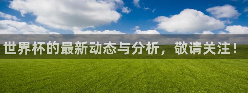 世界杯赛程表：世界杯的最新动态与分析，敬请关注！