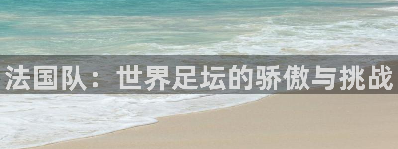 世界杯系列赛：法国队：世界足坛的骄傲与挑战