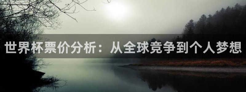 世界杯 赛程：世界杯票价分析：从全球竞争到个人梦想