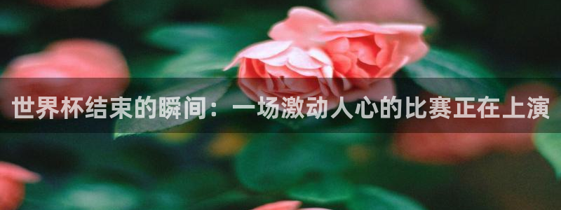 世界杯今日赛程直播：世界杯结束的瞬间：一场激动人心的比赛正在上演