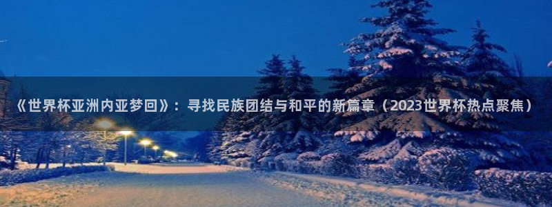 世界杯预选赛赛程：《世界杯亚洲内亚梦回》：寻找民族团结与和平的新篇章（2023世界杯热点聚焦）
