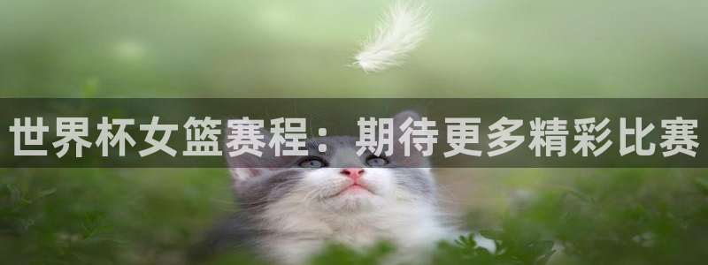 世界杯预选赛欧洲赛区积分榜：世界杯女篮赛程：期待更多精彩比赛